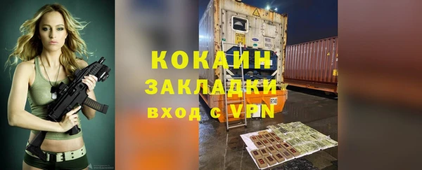 дмт Богородицк