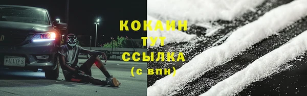 шишки Богданович