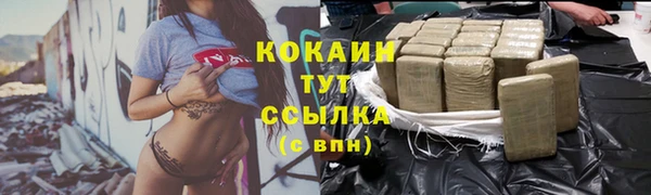 дмт Богородицк