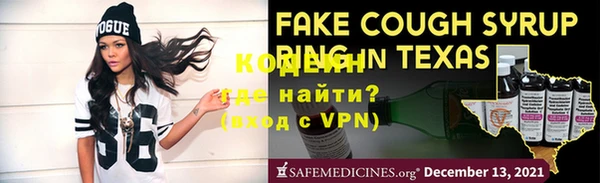 индика Богородск