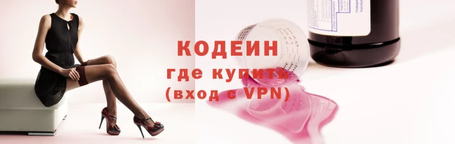 индика Богородск