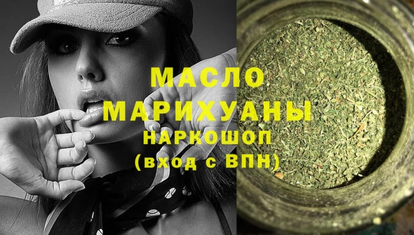 индика Богородск
