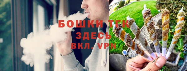 шишки Богданович