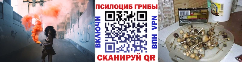 Галлюциногенные грибы прущие грибы  Волжск 